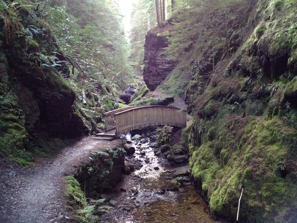 Pucks Glen Lodges, Rashfield, By Данун Номер фото